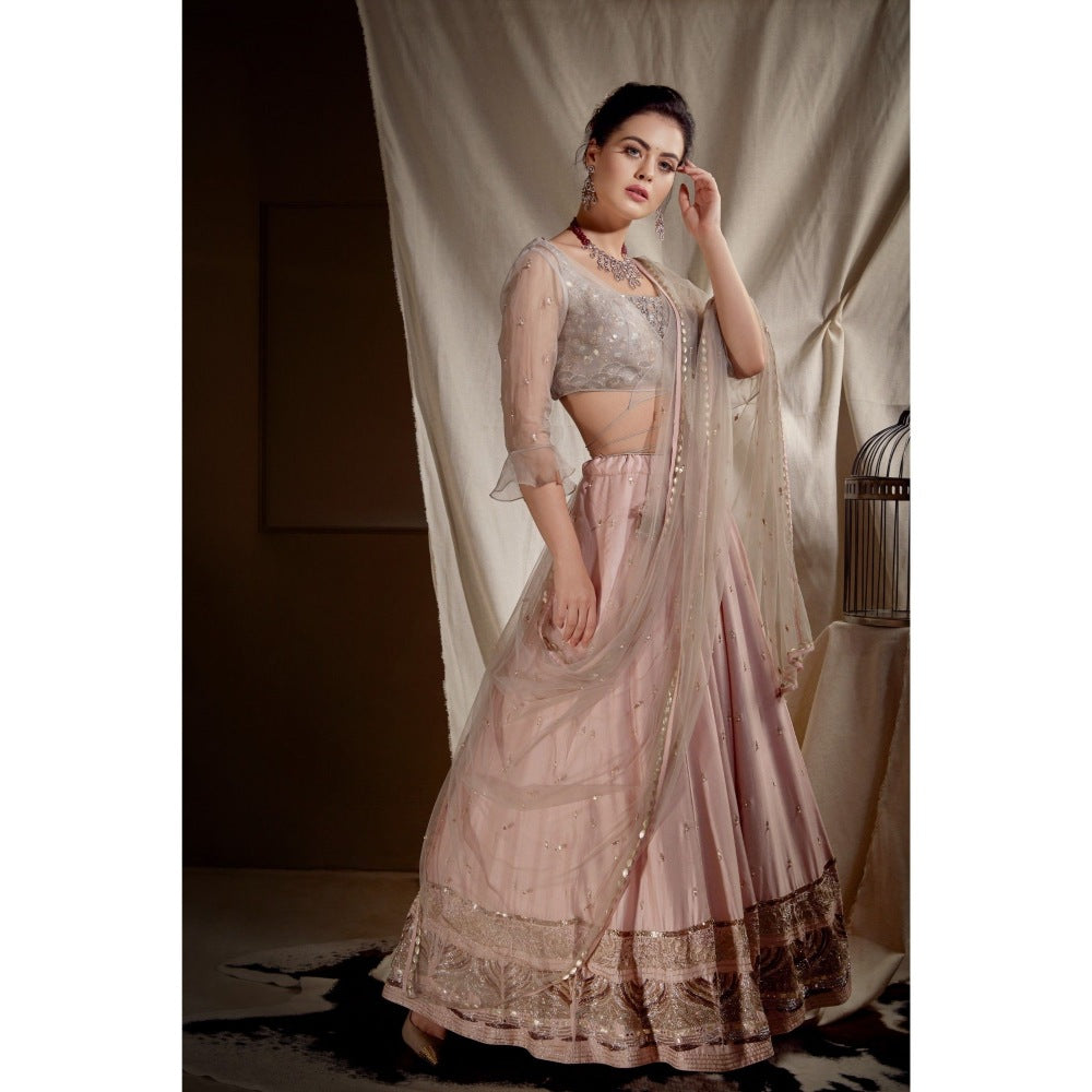 Neha Tarun Grey Lehenga with Jacket and Blouse and Dupatta (Set of 4)