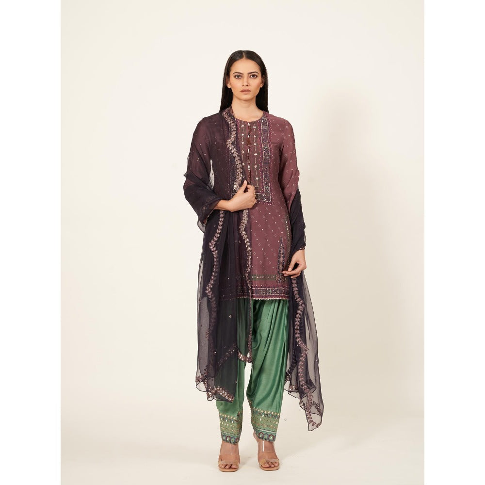 Neha Tarun Short Kurti with Contrasting Salwar and Organza Dupatta (Set of 3)