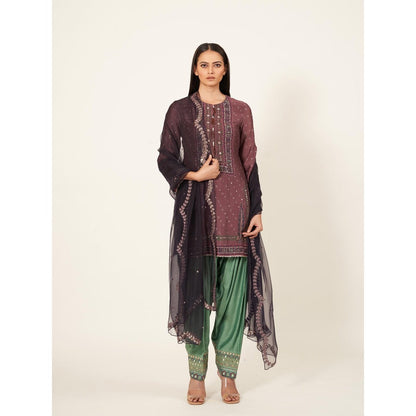 Neha Tarun Short Kurti with Contrasting Salwar and Organza Dupatta (Set of 3)