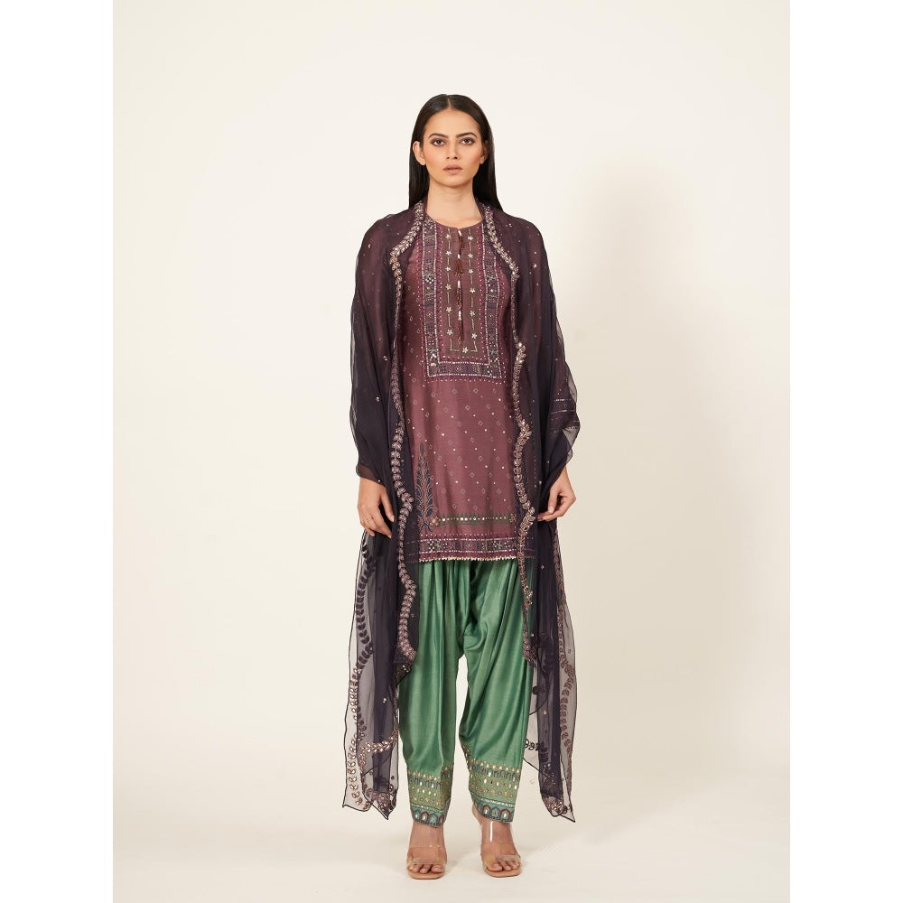 Neha Tarun Short Kurti with Contrasting Salwar and Organza Dupatta (Set of 3)