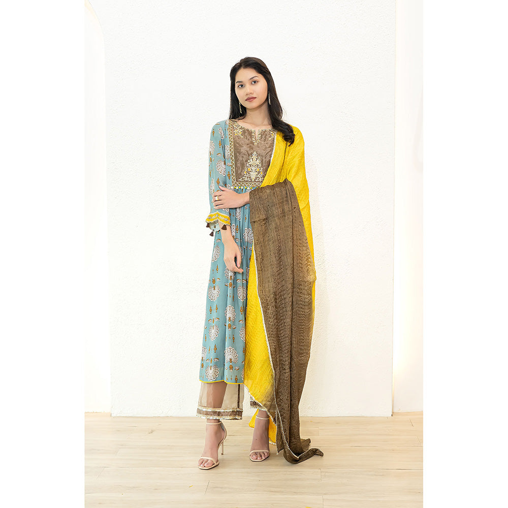 Nidhii Goyal Blue Tissue Yoke A Line Bagh Kurta with Pant and Dupatta (Set of 3)