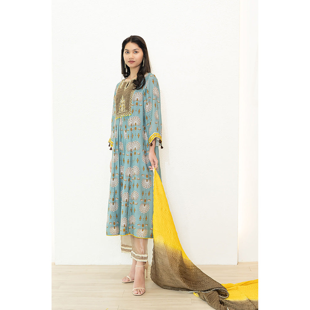 Nidhii Goyal Blue Tissue Yoke A Line Bagh Kurta with Pant and Dupatta (Set of 3)
