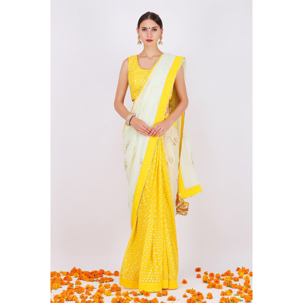 Nikasha Pista Rani Saree (Set of 2)
