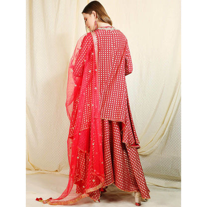 Nikasha Burgundy Printed Long Sleeves Kurta and Skirt (Set of 2)