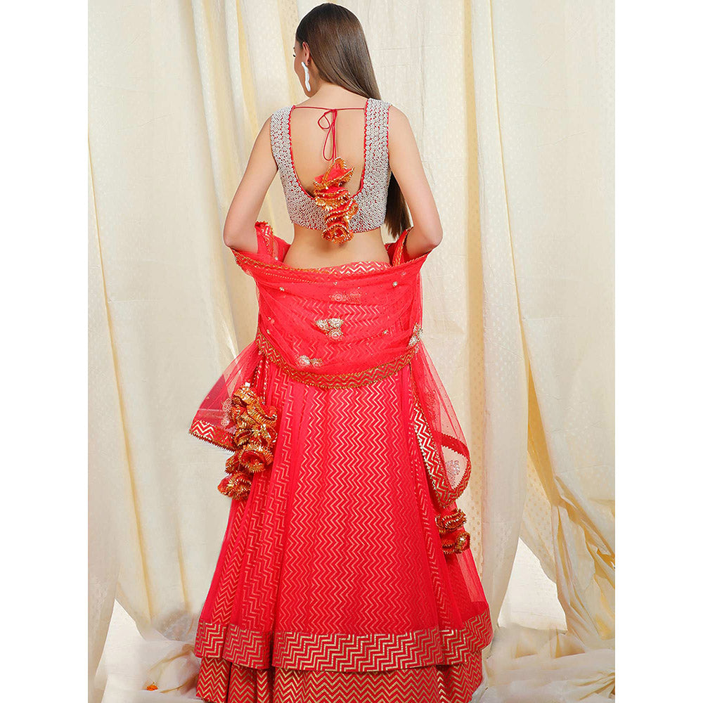 Nikasha Rose Embellished Sleeveless Blouse With Lehenga And Dupatta (Set of 3)