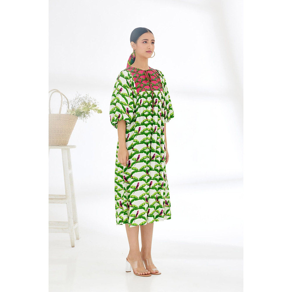 Nikasha Off White & Green Hand Painted Parakeet Print Dress