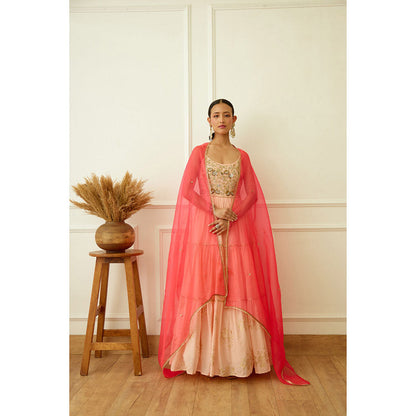 Nikasha Peach Foil Embroidered Anarkali Kalidar (Set of 2)