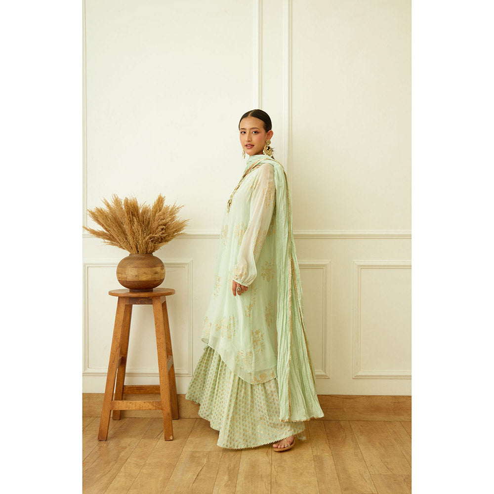 Nikasha Mint Foil Embroidered Sharara (Set of 3)