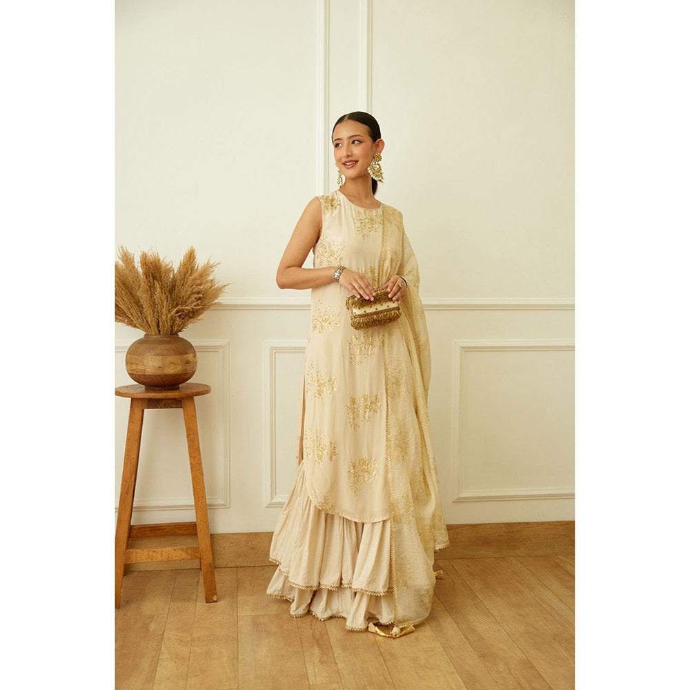 Nikasha Ghee Foil Embroidered Sharara (Set of 3)