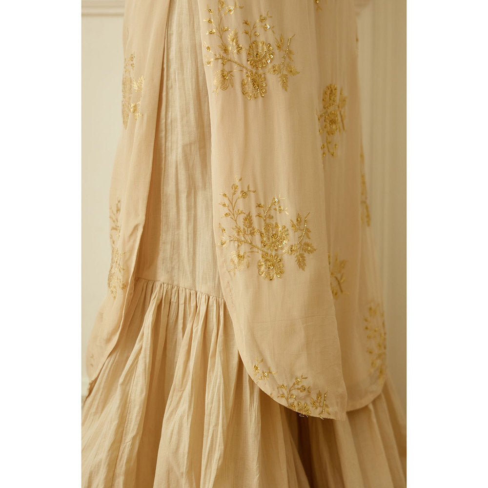 Nikasha Ghee Foil Embroidered Sharara (Set of 3)