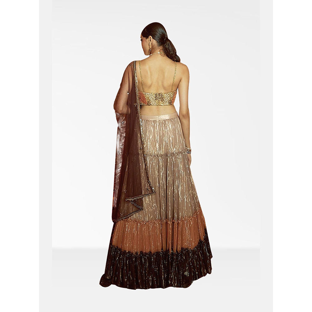 Nirmooha Beige Embellished Lehenga and Blouse with Dupatta