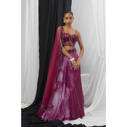 Nirmooha Wine Embellished Lehenga and Blouse with Dupatta