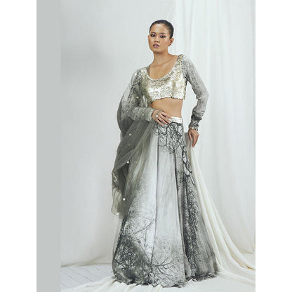 Nirmooha Grey Embellished Lehenga and Blouse with Dupatta