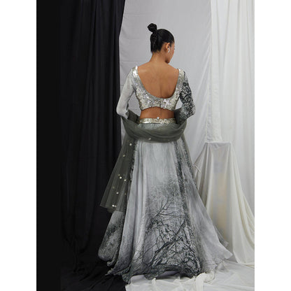 Nirmooha Grey Embellished Lehenga and Blouse with Dupatta