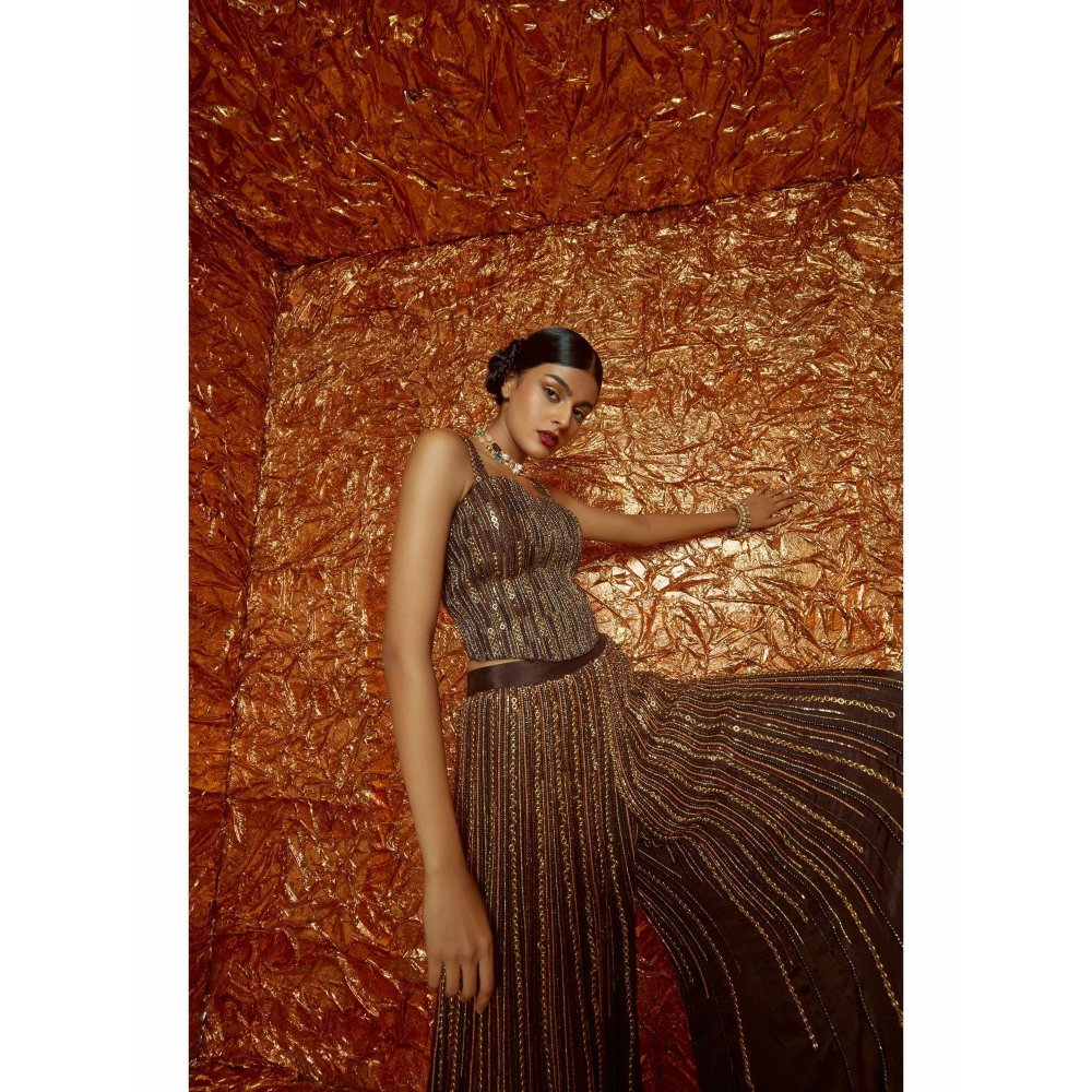 Nirmooha Brown Embellished Corset and Palazzo with Dupatta
