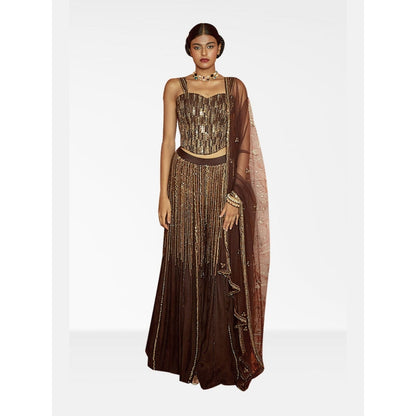 Nirmooha Brown Embellished Corset and Palazzo with Dupatta