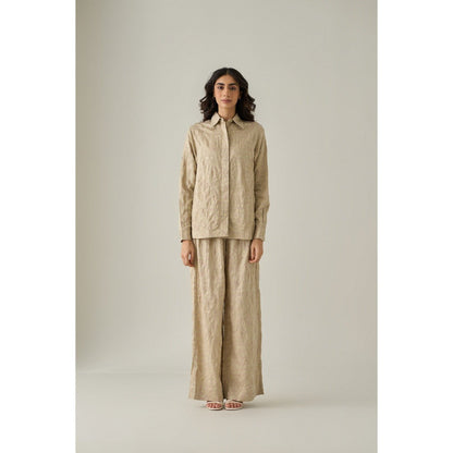 No Grey Area Beige Bollywood Trousers