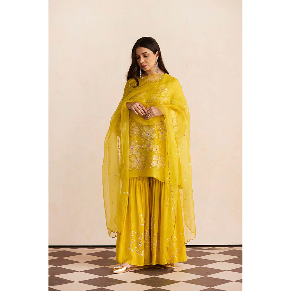 One Not Two Yellow Embroidered Dupatta