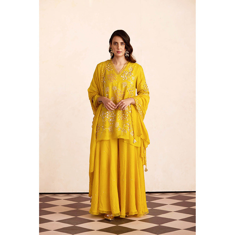 One Not Two Yellow Sharara with Kurti (Set of 2)