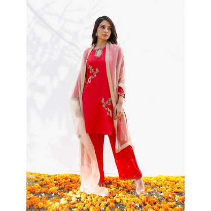 Pairaahan Niran Kurta (Set of 3)