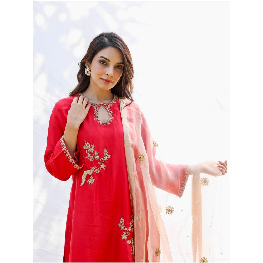 Pairaahan Niran Kurta (Set of 3)