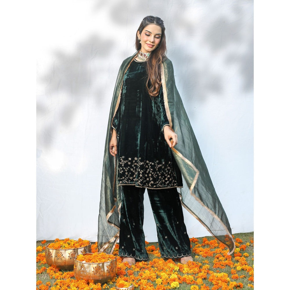Pairaahan Irsa Kurta (Set of 3)