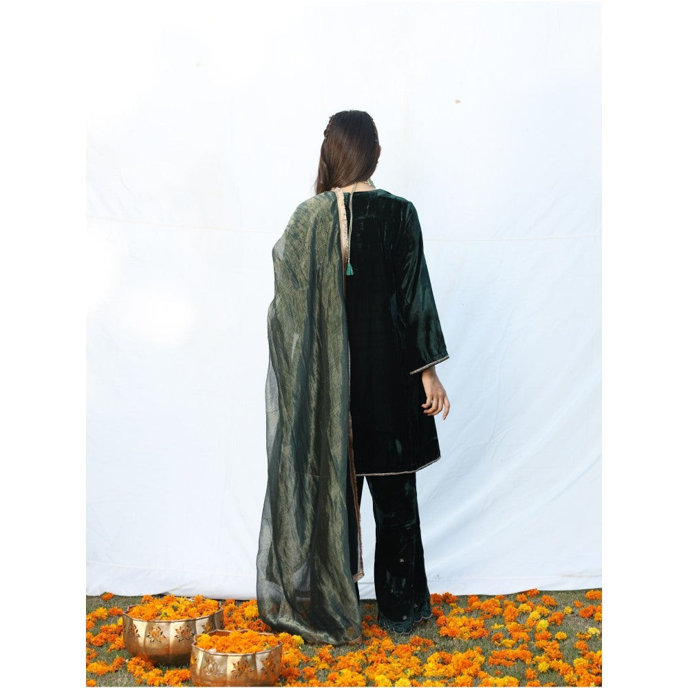Pairaahan Irsa Kurta (Set of 3)