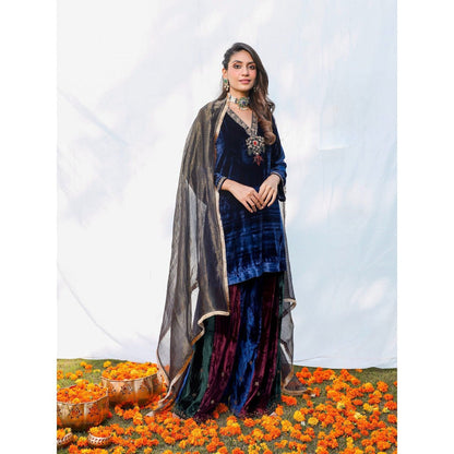 Pairaahan Suki Kurta and Sharara (Set of 3)