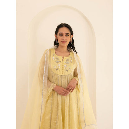 Pairaahan Paikar Anarkali Kurta (Set of 3)