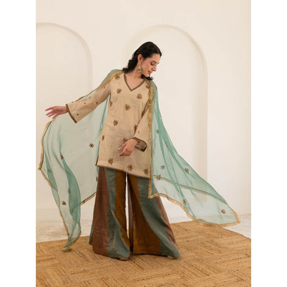 Pairaahan Aashna Palazzo (Set of 3)
