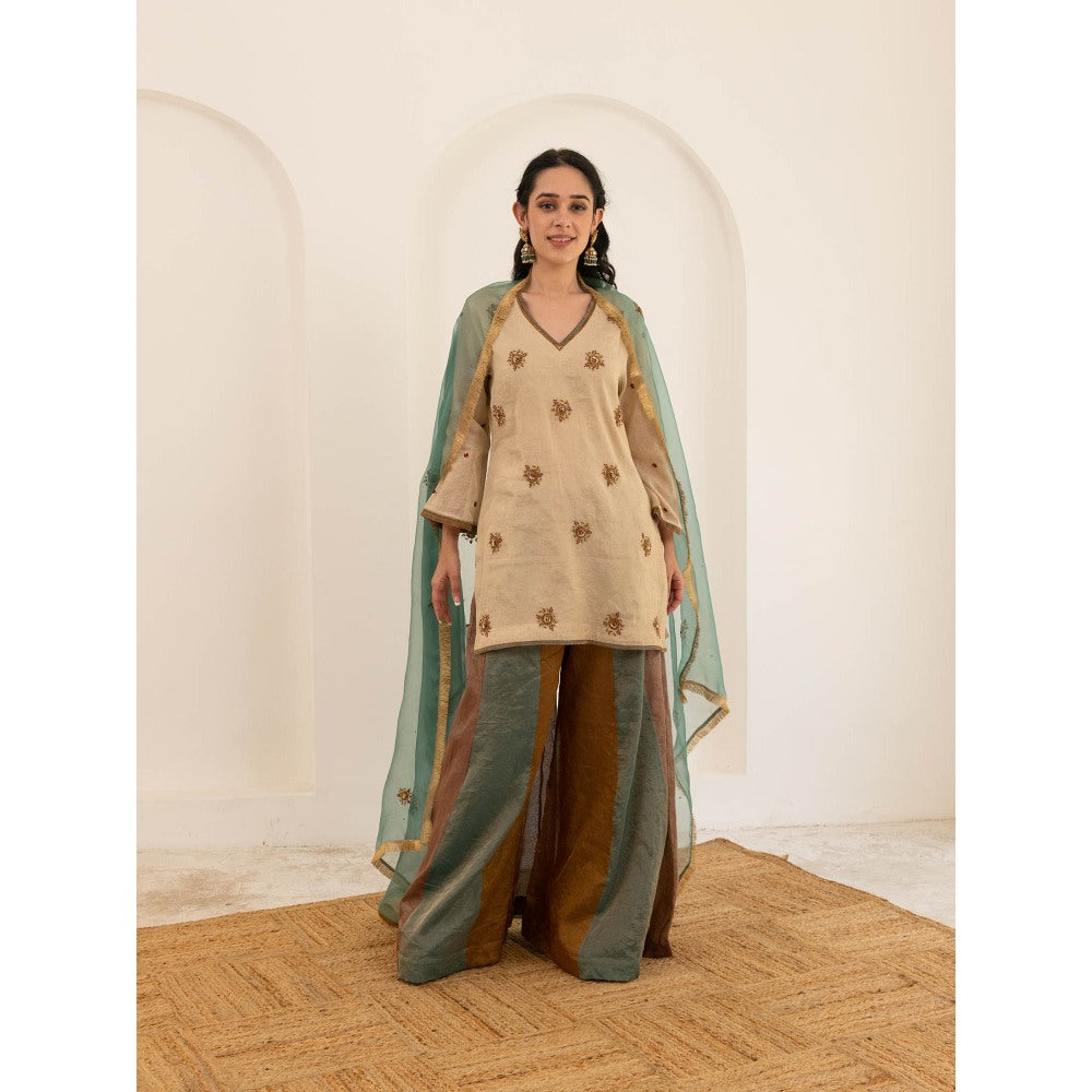 Pairaahan Aashna Palazzo (Set of 3)