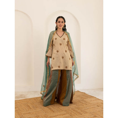 Pairaahan Aashna Palazzo (Set of 3)