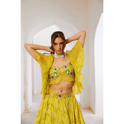 PALLAVI JAIPUR Gulbahar Lemon Green Butterfly Boho Blouse With Skirt (Set of 2)