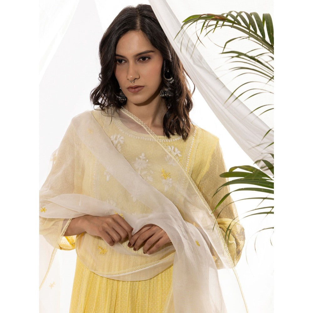 PANTS AND PAJAMAS Off White Organza Dupatta