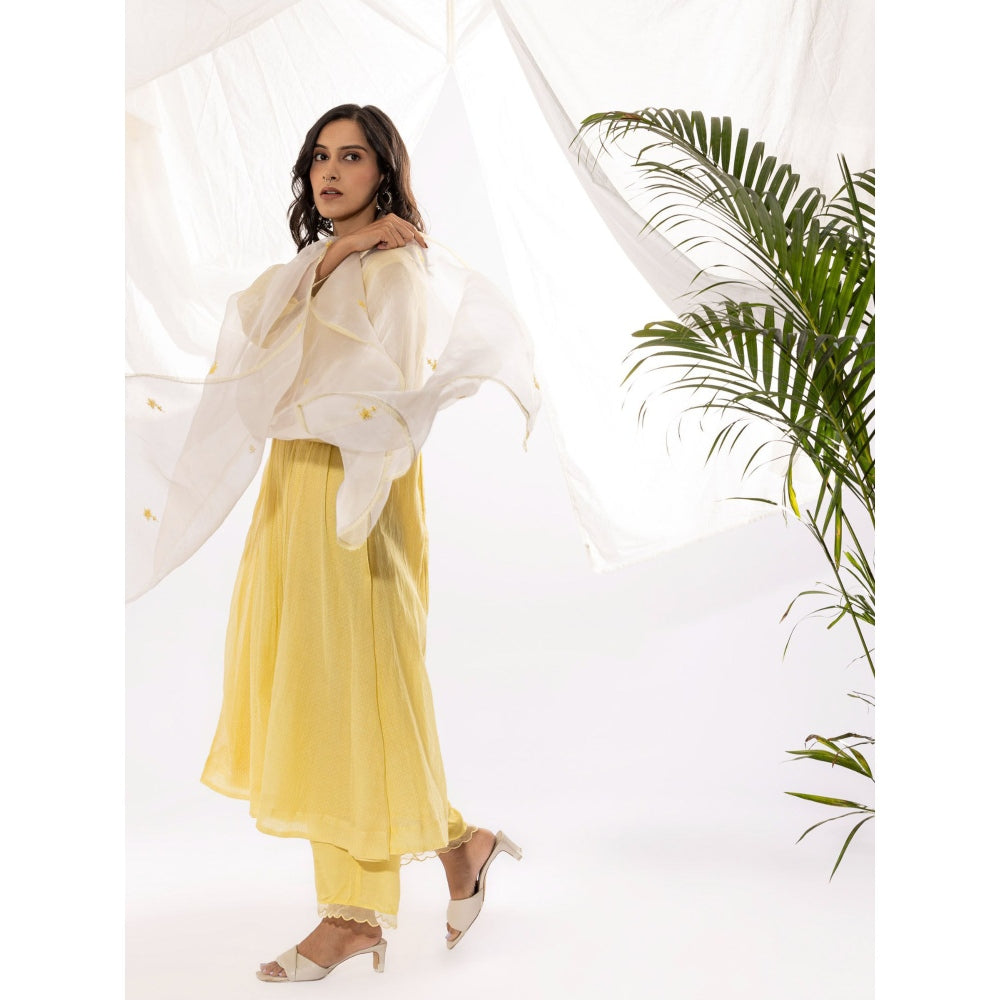 PANTS AND PAJAMAS Off White Organza Dupatta