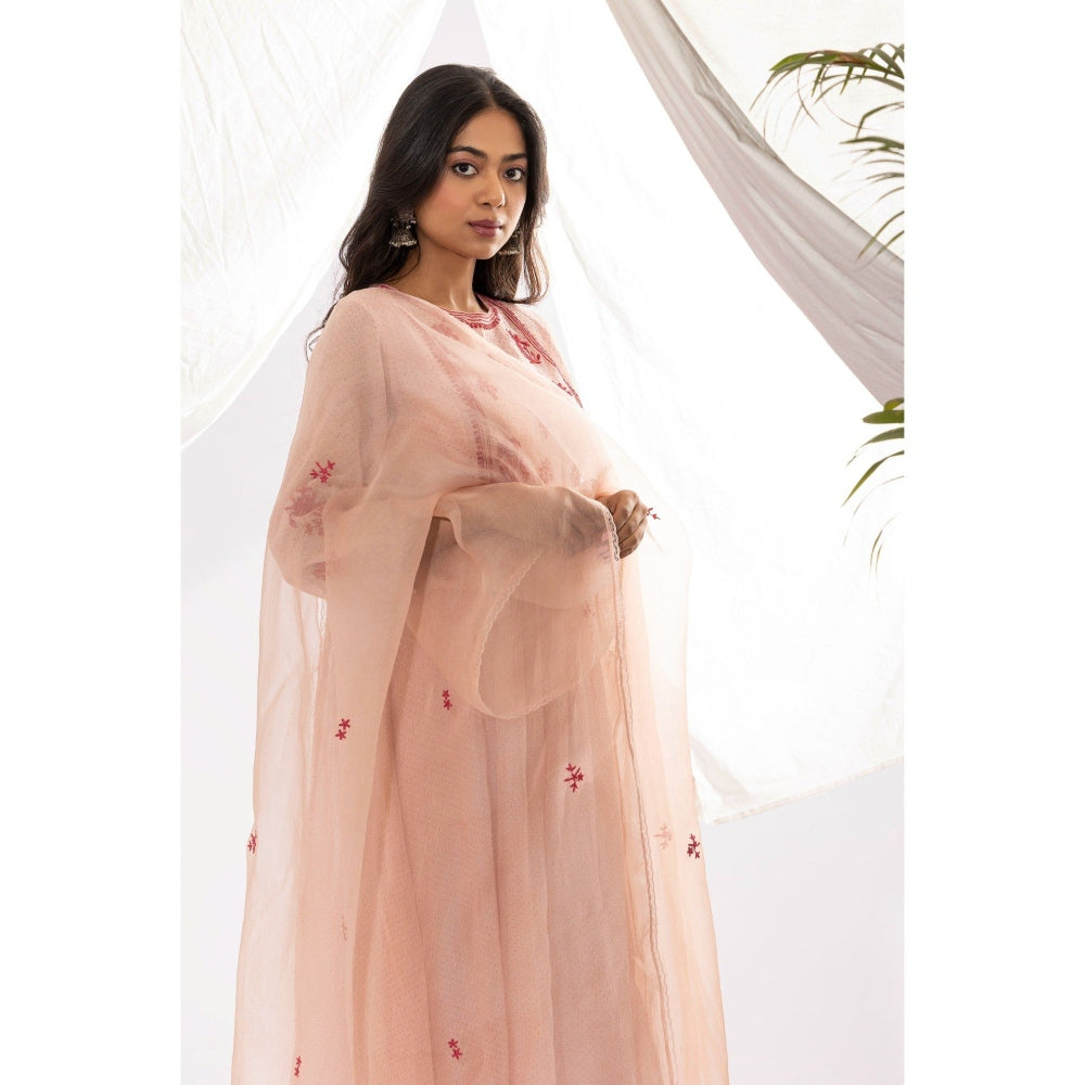 PANTS AND PAJAMAS Pink Organza Dupatta