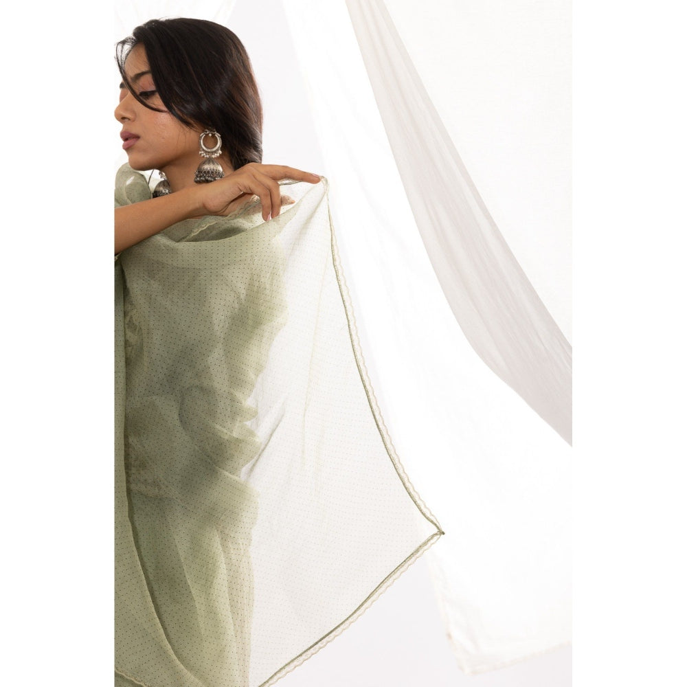 PANTS AND PAJAMAS Sage Organza Dupatta