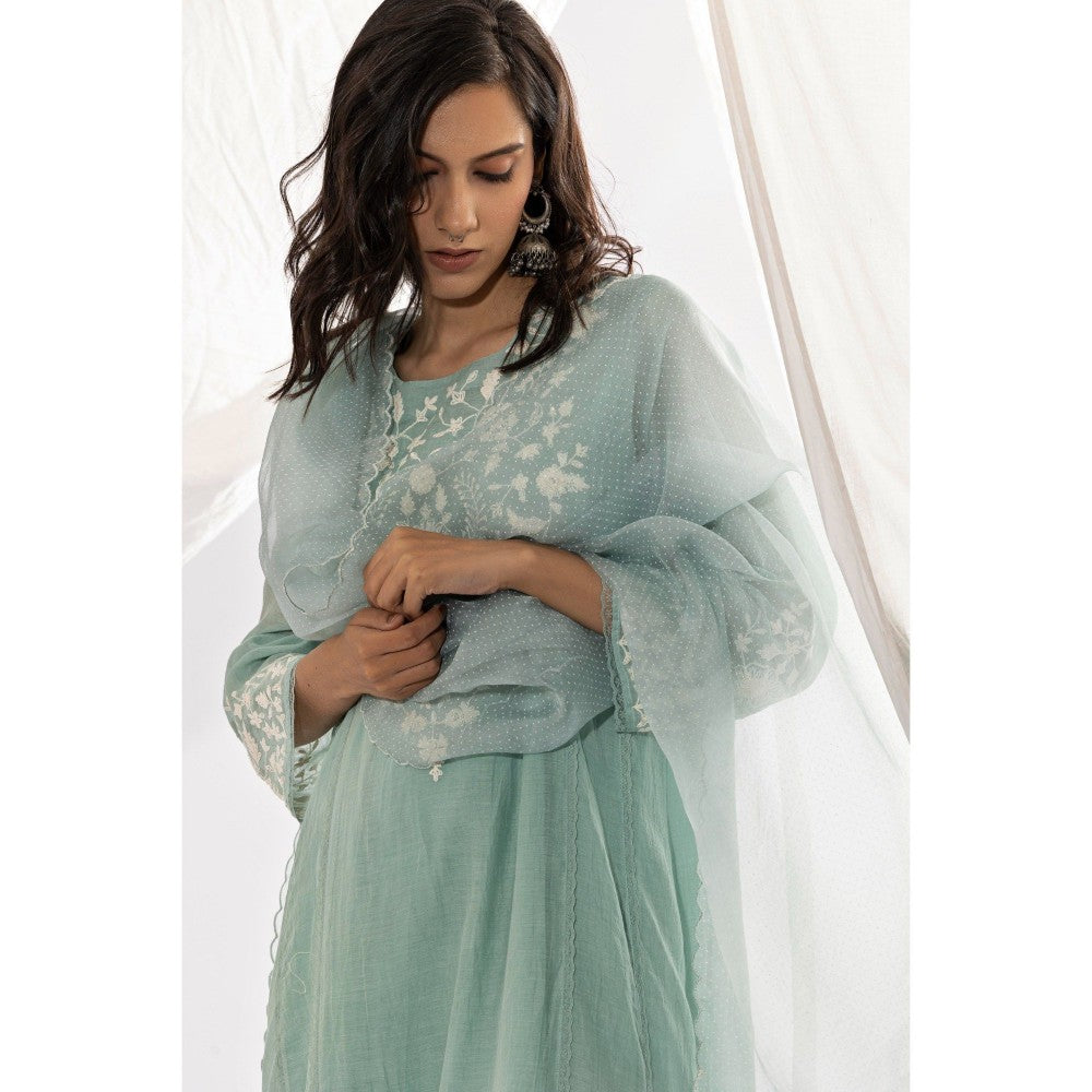 PANTS AND PAJAMAS Aqua Organza Dupatta