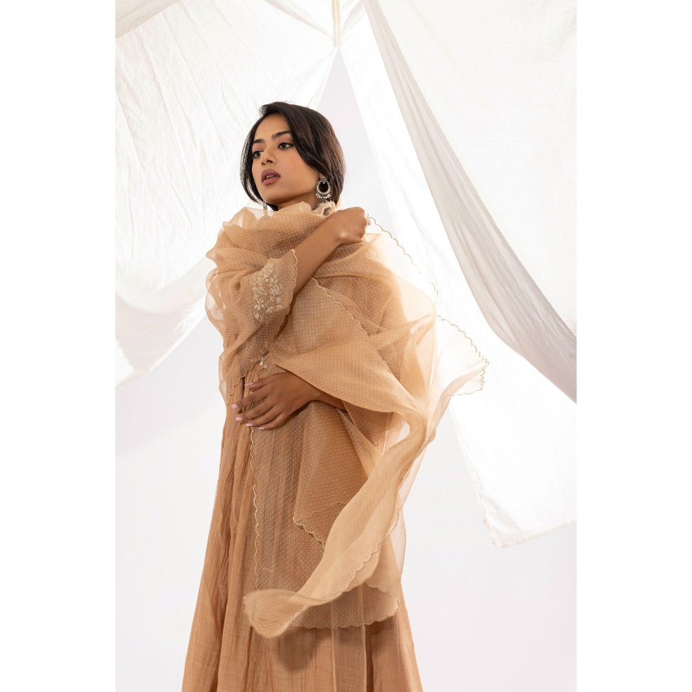 PANTS AND PAJAMAS Beige Printed Organza Dupatta