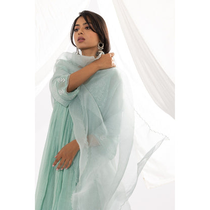 PANTS AND PAJAMAS Aqua Organza Dupatta with Thread Work On It.