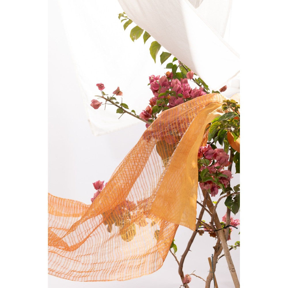 PANTS AND PAJAMAS Orange Chanderi Zari Dupatta