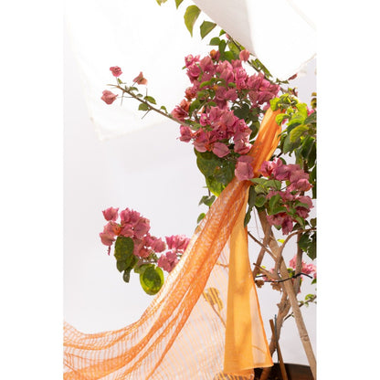PANTS AND PAJAMAS Orange Chanderi Zari Dupatta