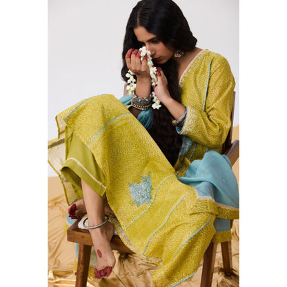 PANTS AND PAJAMAS Nayaab Green Printed Kurta