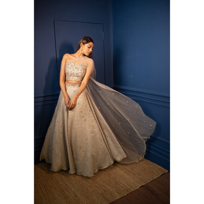 PARUL GANDHI Borage Beige Top & Lehenga (Set of 2)