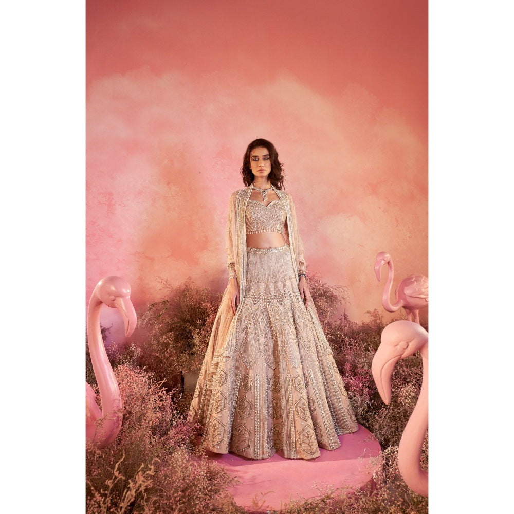 PARUL GANDHI Sanjh Nude Blosue with Lehenga & Dupatta (Set of 3)