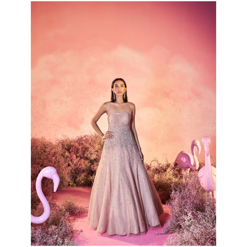 PARUL GANDHI Pearl Dust Beige Embellished Gown