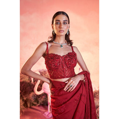 PARUL GANDHI Rose Saree with Stitched Blouse with Stitched