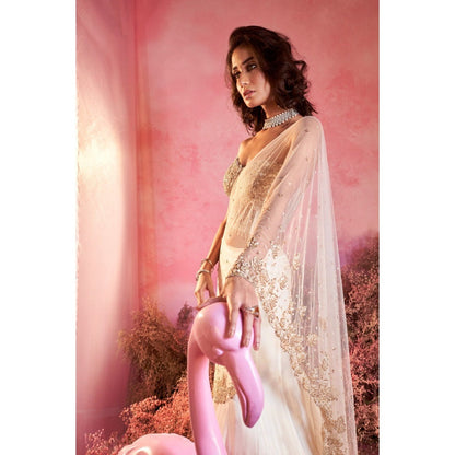 PARUL GANDHI Chand Drape Saree with Stitched Blouse with Stitched