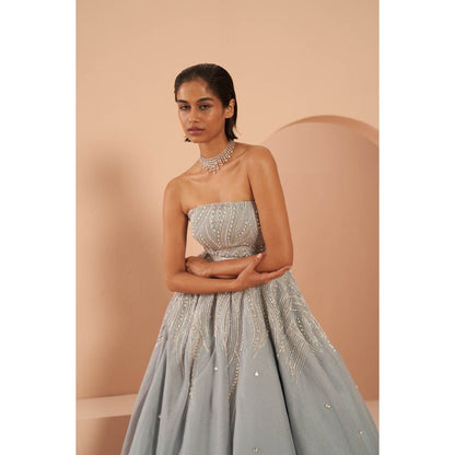 PARUL GANDHI Frozen Blue Crystal Gown