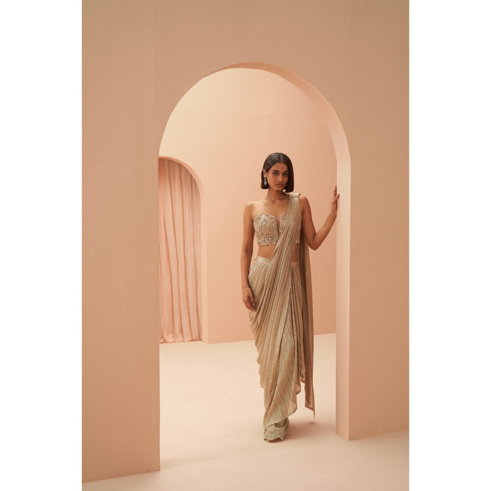 PARUL GANDHI Gold Flake Pleated Saree with Stitched Blouse with Stitched